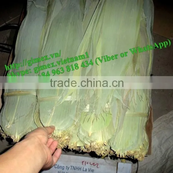 Big Size Green Bamboo Leaves photo-2