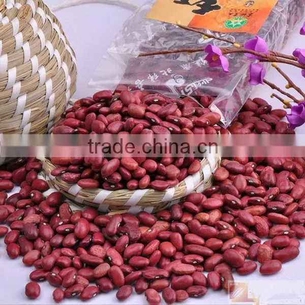 Red Kidney Beans for Hot Sale and With Free Sample for Sale photo-2