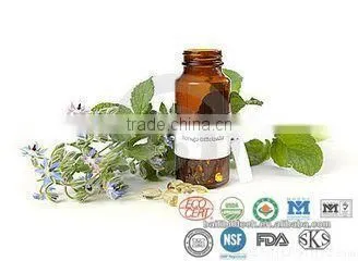 Pure 100%Borage Oil Supply photo-4