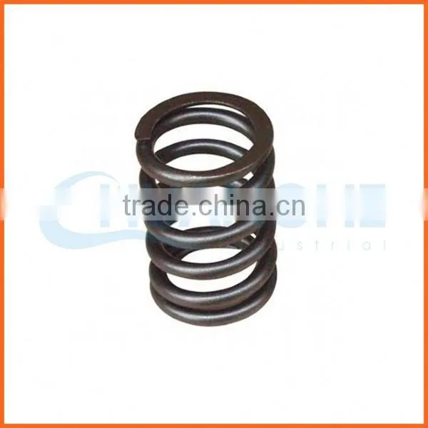 Customized Wholesale Quality Constant Force Coil Spring photo-3