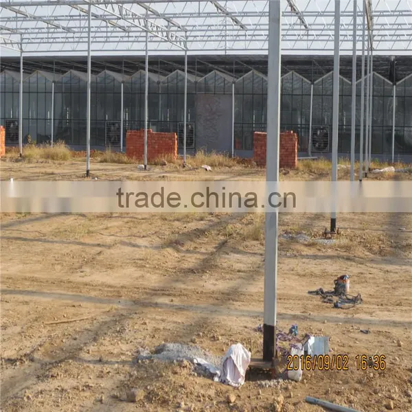 Anti Insect Net Greenhouse for Agriculture Use photo-2