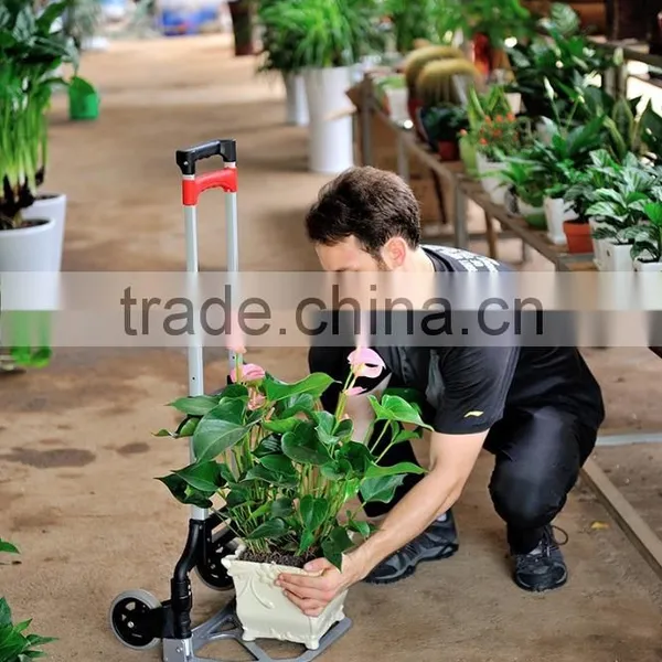 High Qualtiy Hand Truck Lifting photo-5