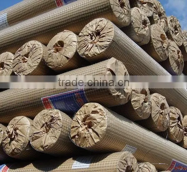Galvanized Welded Wire Mesh From China Factory photo-3
