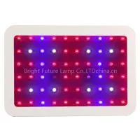 High Power 60leds 600w Led Grow Light photo-2