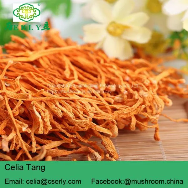 Herb Flower Dried Cordyceps photo-2