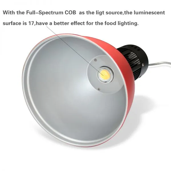 40W LED Pendant Light Food Display Lighting Lamp photo-3