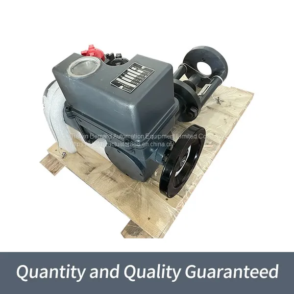 Bernard Straight Travel Electric Actuator Intelligent Adjusting Electric Device A+Z64/K0610 photo-4