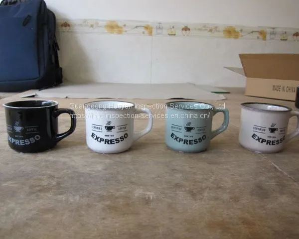 Mug Professional Inspection on Site Inspection photo-5