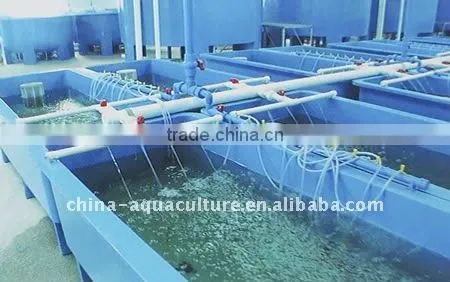 Aquaculture Fish farm stock tank, aquarium fish tank