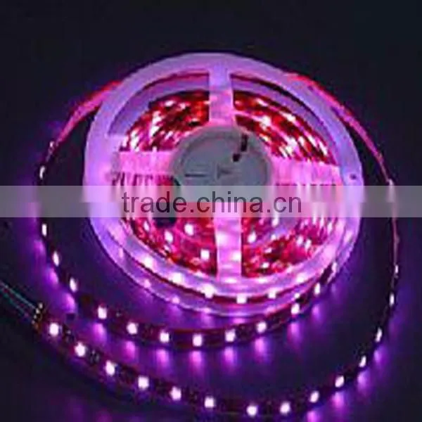 CE&ROHS Certification NONwaterproof 3528 SMD Flexible Led Strip Lighting photo-2
