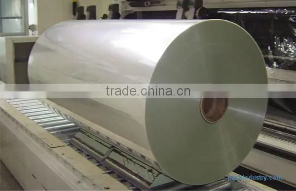 Polyester Film