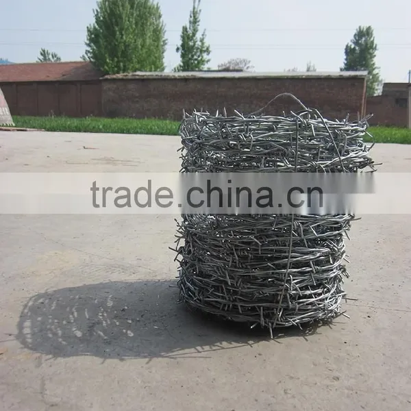 Galvanized Wire Mesh/Wire Mesh Fence/HeBei Barbed Wire Quality Choice photo-6