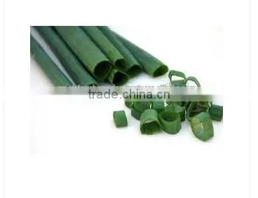 Spring Onion photo-5