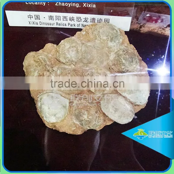 Museum Artificial Dinosaur Fossil Model Dinosaur Egg Replica photo-2