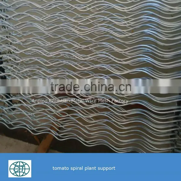 Glavanized Steel Bar Tomato Spiral Support Rod for Plant Climbing photo-3