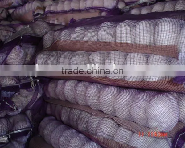 Pure White Garlic