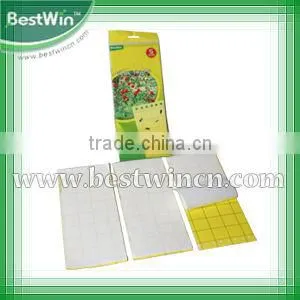 Aphids Glue Traps