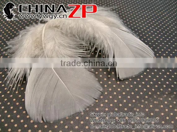 CHINAZP Good Quality Plumage Wholesale Dyed Ivory Turkey T-Base Body Feathers for Sale photo-3