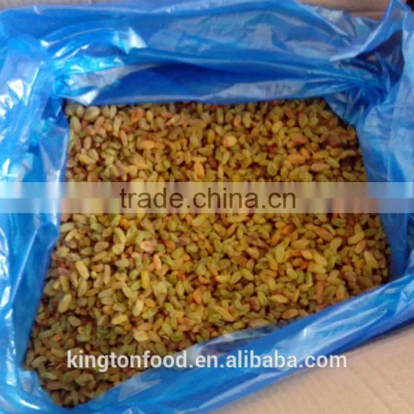 China Wholesale Seedless Dried Raisin photo-3