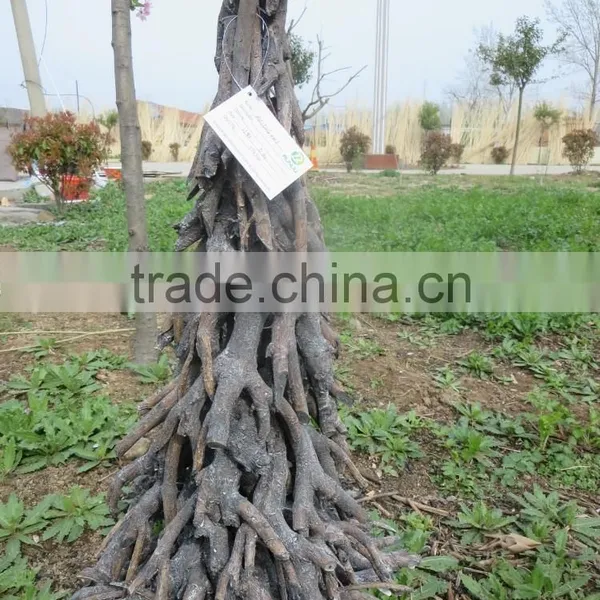 Wicker Christmas Tree photo-4
