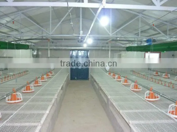 Automatic Poultry Equipment for Broiler Chicken photo-6