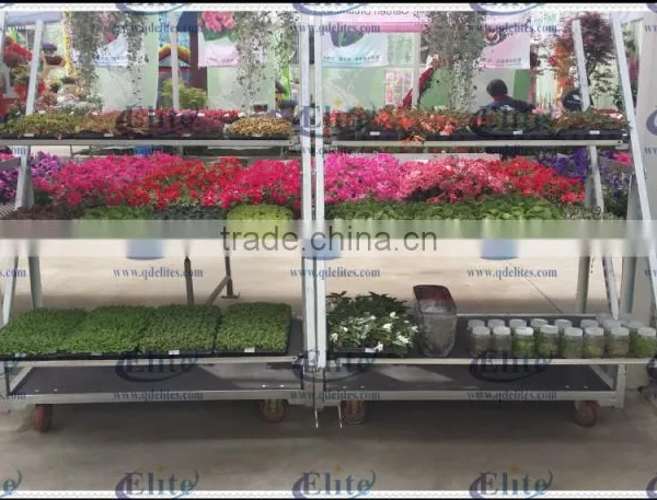 Hot Sales Display Danish Flower Trolley Cart With Pulling System photo-6