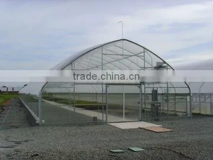 Agriculture Green House in Single Span Plastic Film Greenhouse photo-2