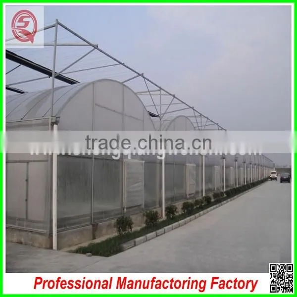 Hot Sale 6.4m Agricultural Multi-span Plastic Film Greenhouse for Planting photo-2