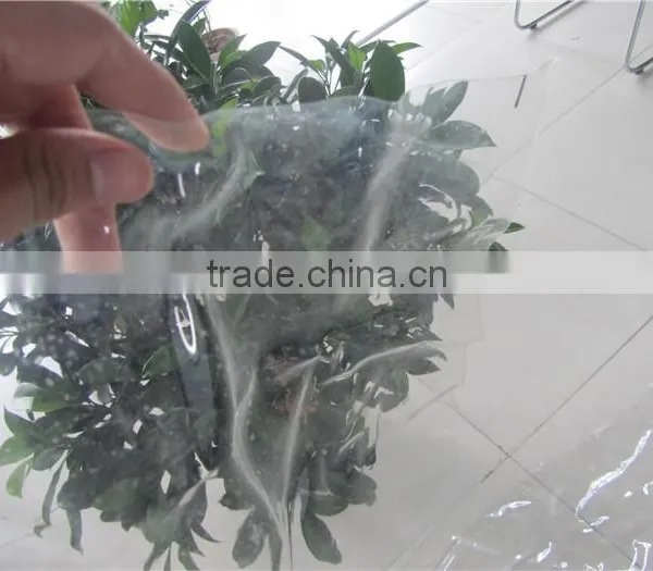 200 Micron Greenhouse Film, Transparent Greenhouse Film, Agricultural Film photo-3