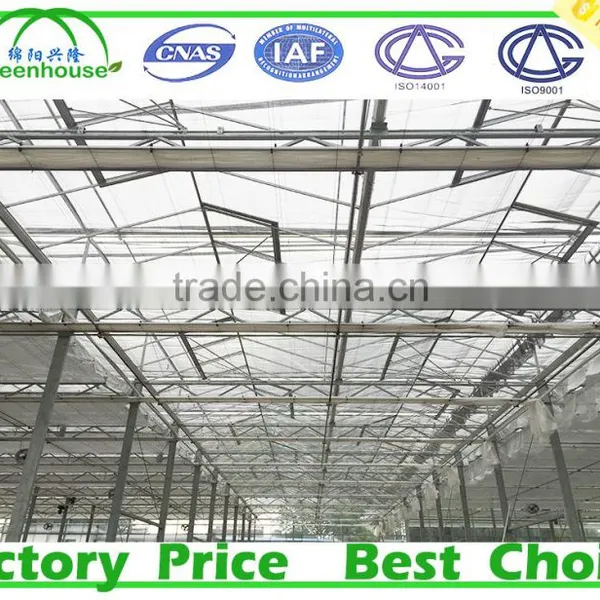 Wind Span Glass Greenhouse photo-5