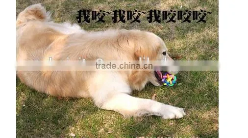 CY188 For Small Dog Toys Product For Dog Colorful Rubber Dog Toy Ball, Pet Dog Toys With Bell For Small Medium Large Dog photo-5
