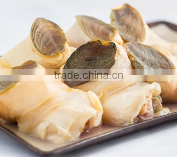 Conch Meat photo-3