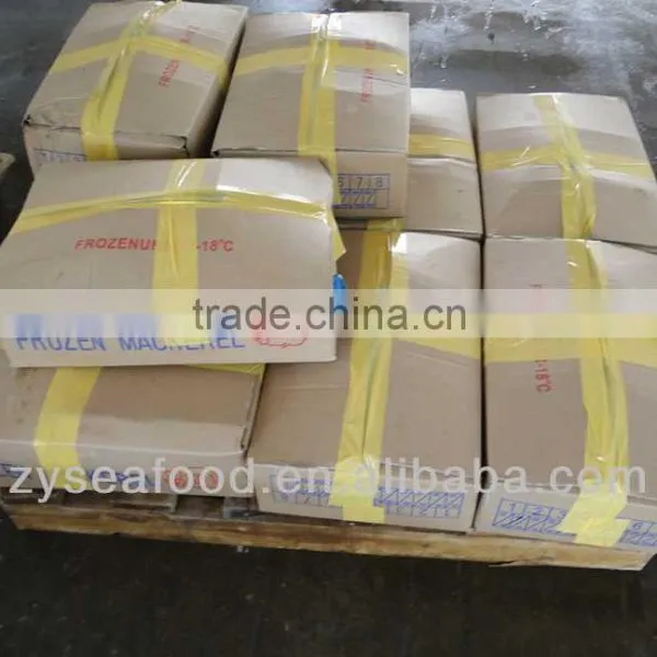 Frozen Pacific Mackerel Fish 200-300G photo-3