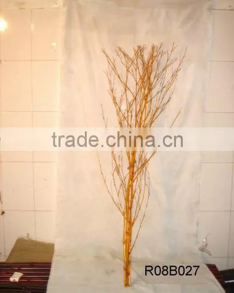 bamboo tree