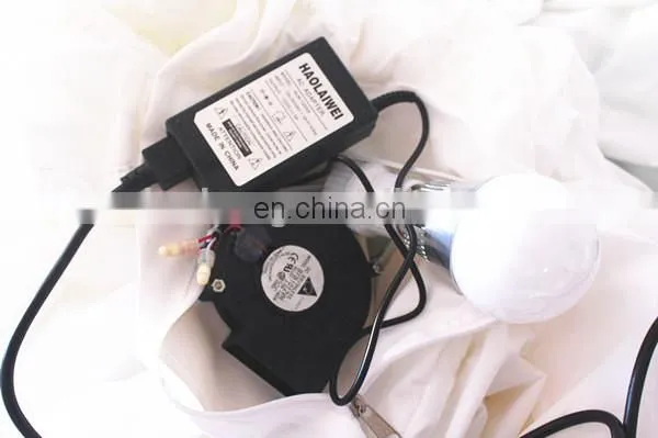 Inflatable Led Balloon for Wedding Decoration photo-4