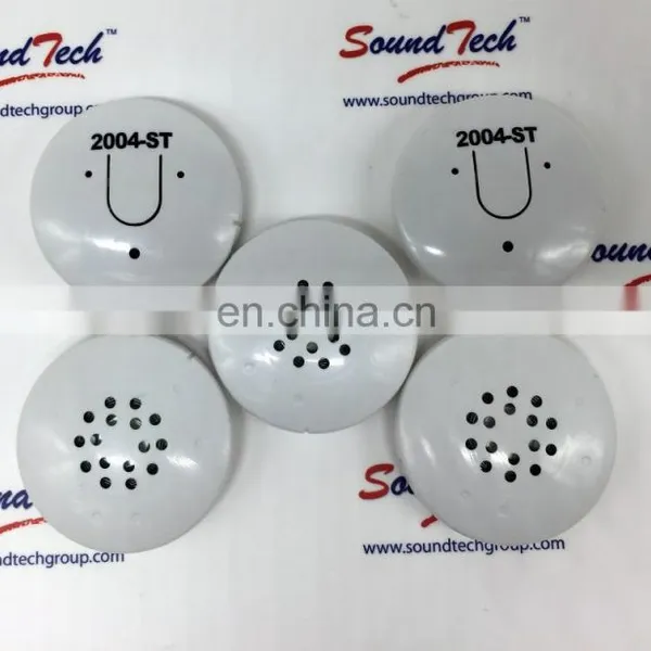 Press and Hold Recordable Sound Module With Plastic Housing photo-4