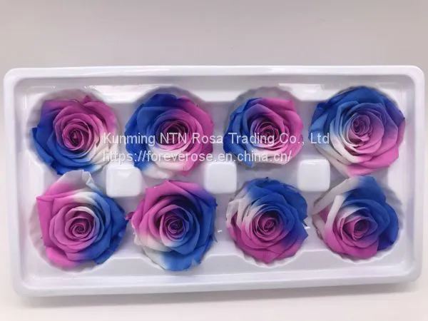 Handmade Immortal Flowers Preserved Flower Rose, Never Withered Roses photo-3