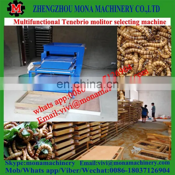 Multifunctional Separating Plant for Tenebrio Molitor, Big/small Worms, Pupa, Dead Worms photo-5