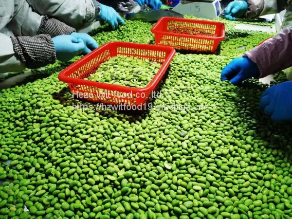 Frozen Soybeans Pods and Kernels photo-5