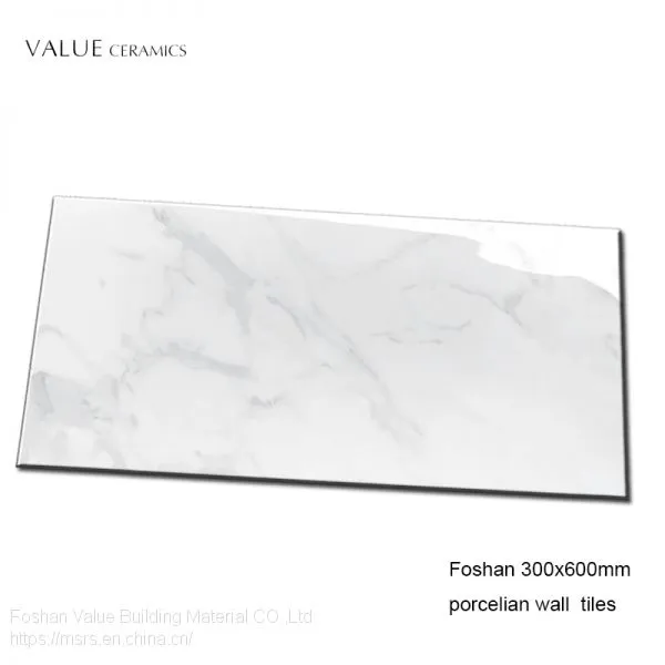 Foshan Porcelain Low Water Absorption 300x600 White Gloss Wall Tile