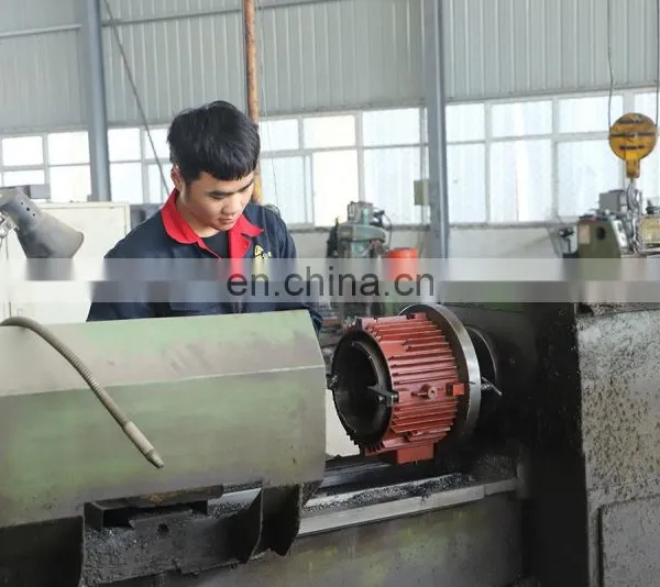 Road Construction Machinery High Frequency Screed Concrete Vibrator photo-5