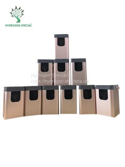 Domestic hydrogen generator Fight auto-immune disease Improve cognitive function Hydrogen absorption machine absorption