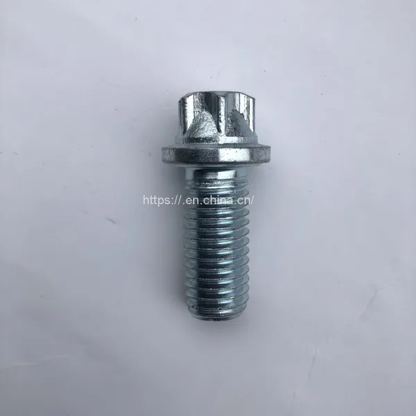 Plum Head Flange Bolt DIN 34800 photo-4