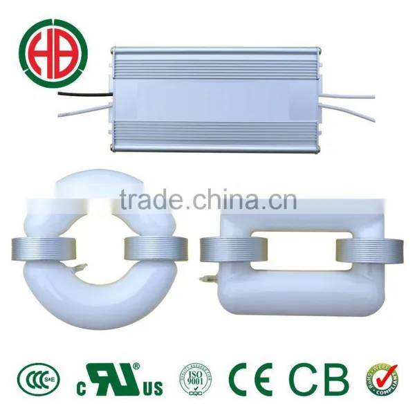 HB' 36V induction lamp