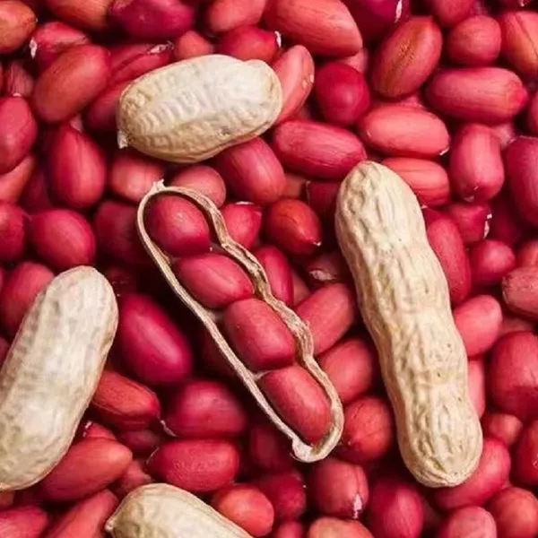 Peanut (without Shell) White Skin and Red Skin photo-5