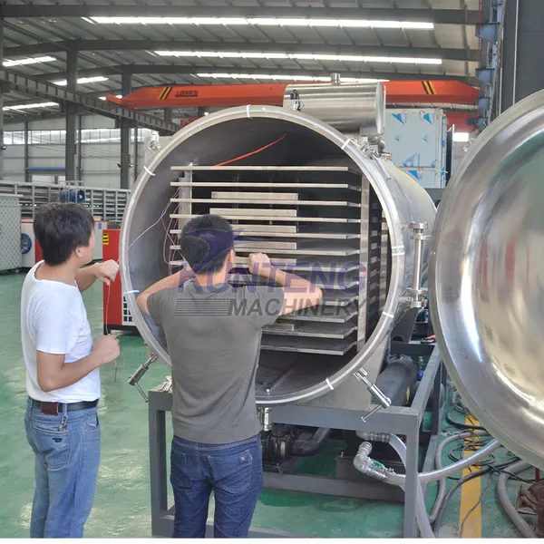 Cold Air Dehydrator Freeze Dryer Vacuum Freeze Drier Drying Oven Machine EPC photo-4