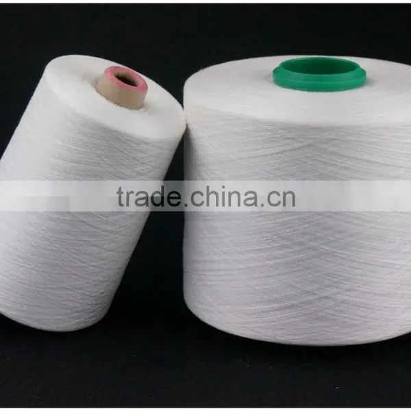 High Tenacity 22/2 22/3 Bleached White100% Spun Polyester Sewing Thread photo-2
