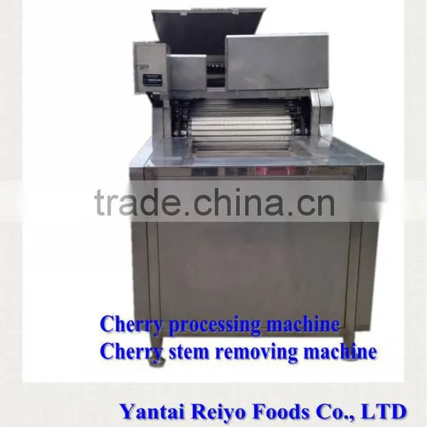 Fruit Processing Machine / Cherry Stem Removing Machine photo-4