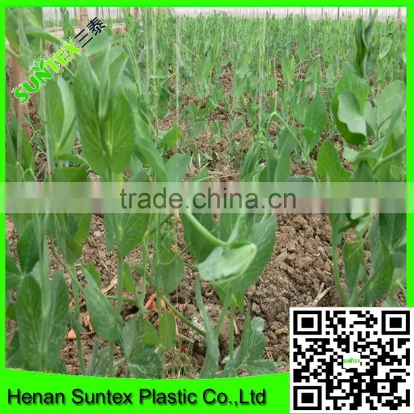 Strong Durable Trellis Netting Pea & Bean Support Net Tent Grow Net photo-2