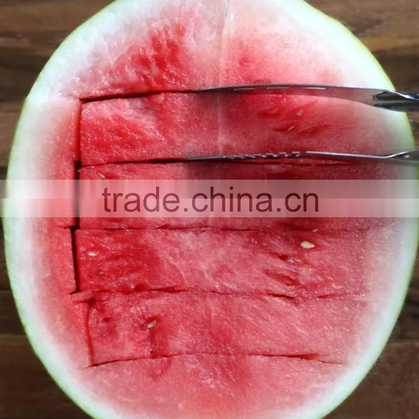 Stainless Hami Melon Corer photo-4